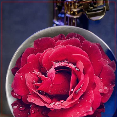 Sax Covers, Vol. 7