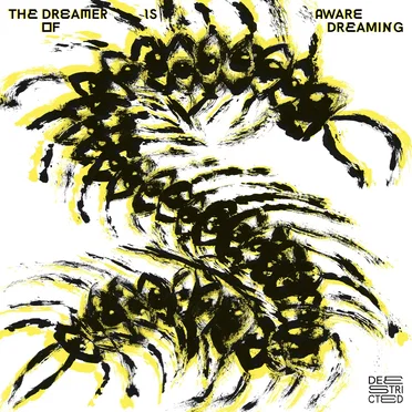 The Dreamer Is Aware of Dreaming by Various Artists - album cover