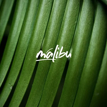 Iguana Lounge by Malibu - album cover