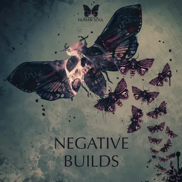 Negative Builds by The Library of the Human Soul - album cover