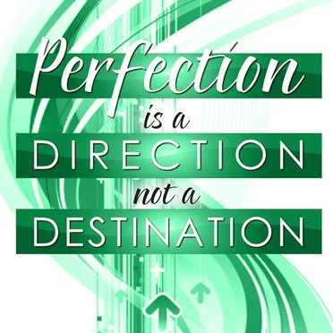 Perfection is a Direction not a Destination by Ann Washburn - album cover