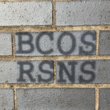 BCOS RSNS by BCOS RSNS - album cover