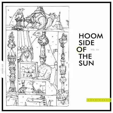 Hoom Side of the Sun, Vol. 04 by Various Artists - album cover