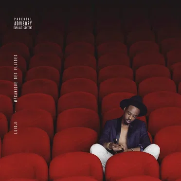 Mécanique des fluides by Luidji - album cover