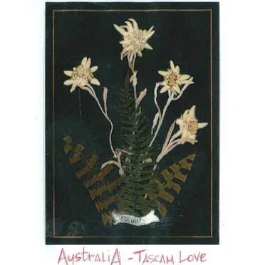 Tascam Love by AustraliA - album cover