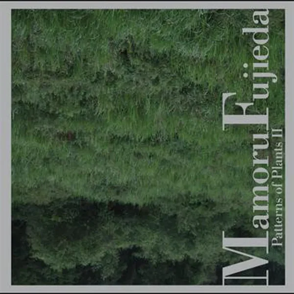 Patterns of Plants II