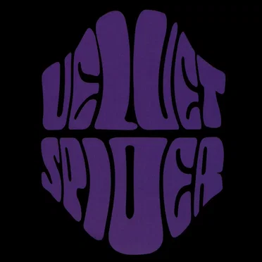 Velvet Spider by Velvet Spider - album cover