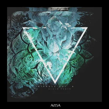Triangle, Vol. 9 by Various Artists - album cover