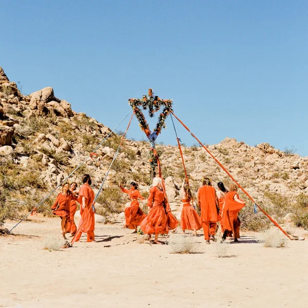 Where the Flowers Never Grow