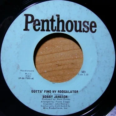 Gotta' Find My Roogalator / Lowdown Funky Blues