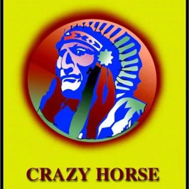 Crazy Horse by Larry McMurtry - album cover