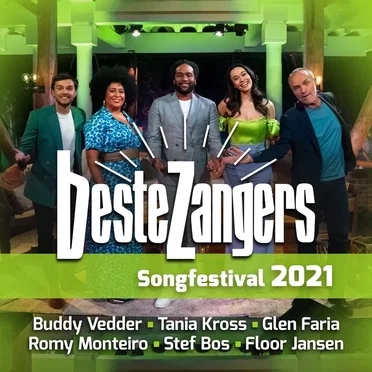 Beste Zangers Songfestival 2021 by Various Artists - album cover