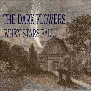 When Stars Fall E.P by The Dark Flowers - album cover