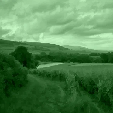 GREEN 18