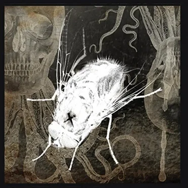 The Mariner’s Lament by The Order of the Fly - album cover