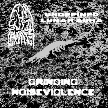 GRINDING NOISEVIOLENCE