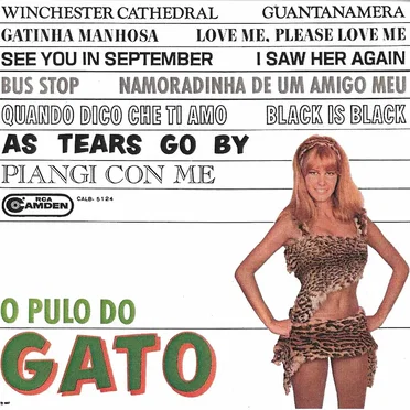 O Pulo do Gato