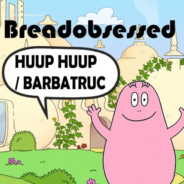 HUUP HUUP / BARBATRUC