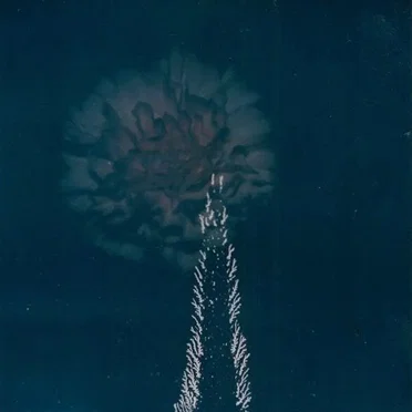 Leaves Painted in a Darker Blue