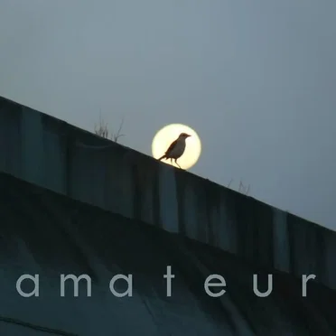 Amateur by Amateur - album cover
