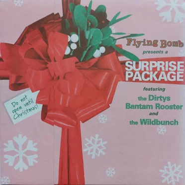 Surprise Package Volume One by Various Artists - album cover