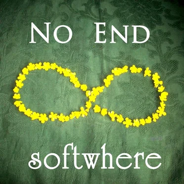 No End by Softwhere - album cover