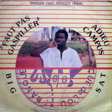 Adieu Campus "Faut Pas Gaspiller" by Big Sat - album cover
