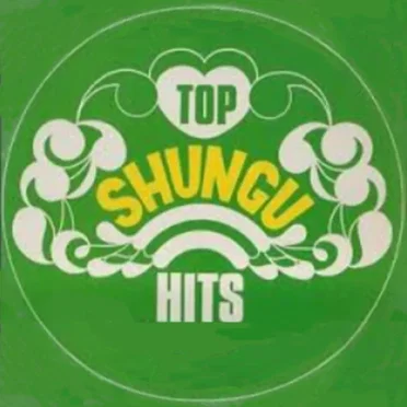 Top Shungu Hits by Various Artists - album cover