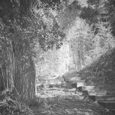 The Middle of July (acoustic)