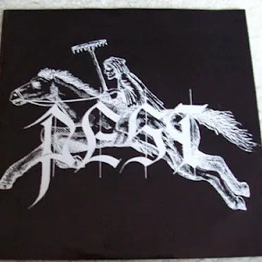Wikinger / Feuer Der Nacht by Pest - album cover