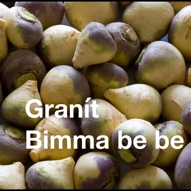 Bimma Be Be by Granít - album cover