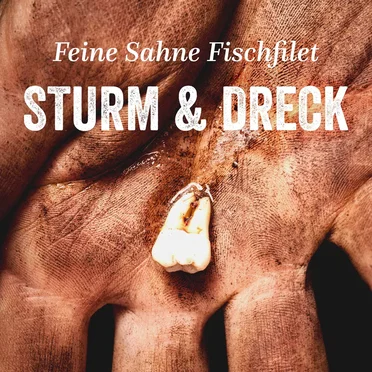 Sturm & Dreck by Feine Sahne Fischfilet - album cover