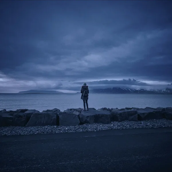 We Are the Wind