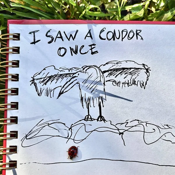 Turned Around