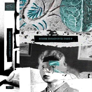 Rough Treatments Part 2 by Various Artists - album cover