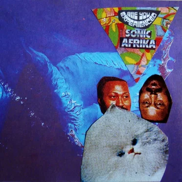 Are You Experienced Sonic Afrika? by Afrika Pseudobruitismus - album cover