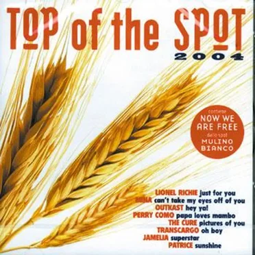 Top of the Spot 2004 by Various Artists - album cover