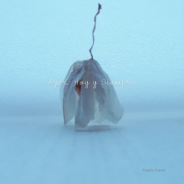 Ayer, Hoy y Siempre by Fuente Eterna - album cover