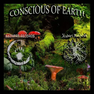 Conscious of Earth by Various Artists - album cover