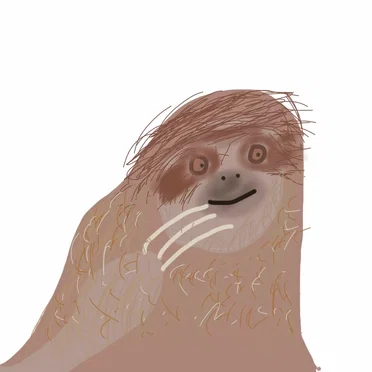 Sloth Dream