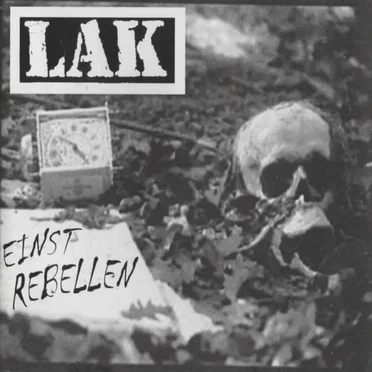 Einst Rebellen
