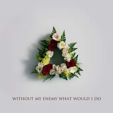 Without My Enemy What Would I Do by Made in Heights - album cover