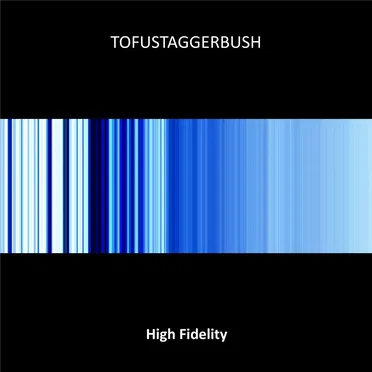 High Fidelity