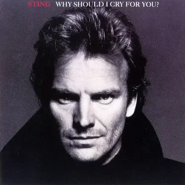 Why Should I Cry For You