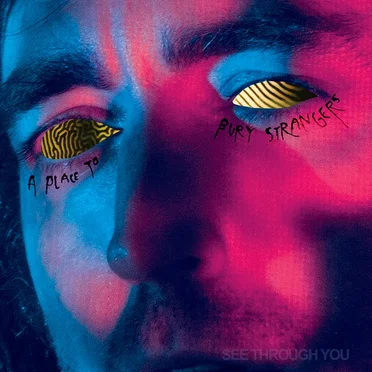 See Through You by A Place to Bury Strangers - album cover