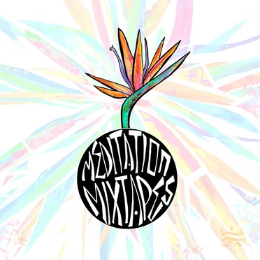 Bird of Paradise by Meditation Mixtapes - album cover