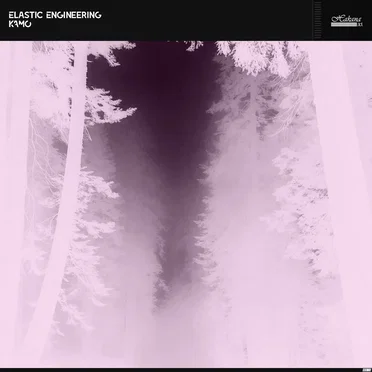 KAMO by Elastic Engineering - album cover