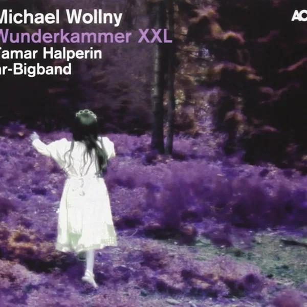 Wunderkammer XXL
