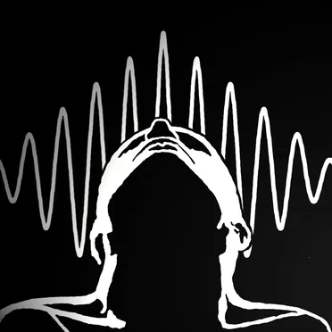 The Collapse of the Wave Function