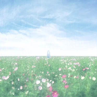 fragile, dying blossom by frail - album cover